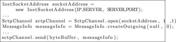 \begin{lstlisting}[frame=single]
InetSocketAddress socketAddress =
new InetSock...
...tgoing(null, 0);
...
sctpChannel.send(byteBuffer, messageInfo);
\end{lstlisting}